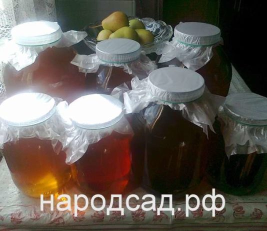 Купить качественный мед недорого в Москве. Народный сад