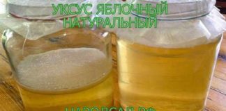 УКСУС ЯБЛОЧНЫЙ домашнего приготовления